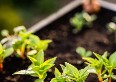 Atelier jardinage